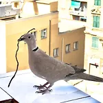 Apartmán Sweet Nel Cuore Di *