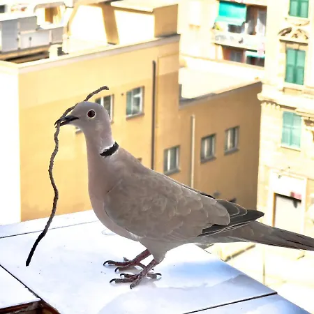 Apartmán Sweet Nel Cuore Di *