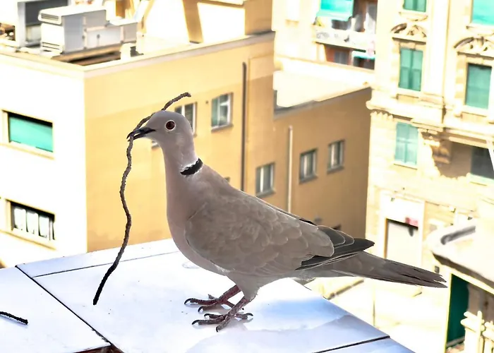 Apartament Sweet Nel Cuore Di *